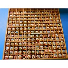 la série de 180 capsules de champagne générique les capitales du monde  ( octobr