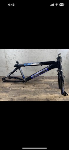 Mongoose team issue - mongoose,
