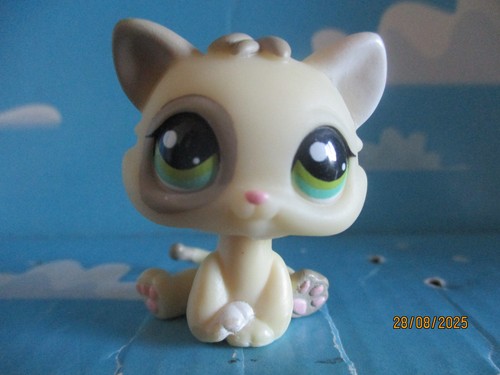 Petshop chaton 1074 - chaton, n°1074