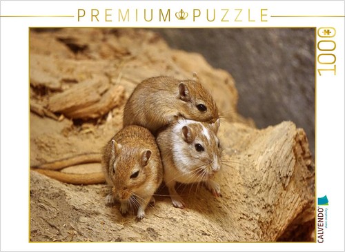 Calvendo puzzle rennmaus - puzzle, trio
