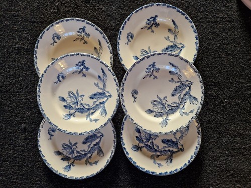 Assiettes plates gien - assiettes, cactus