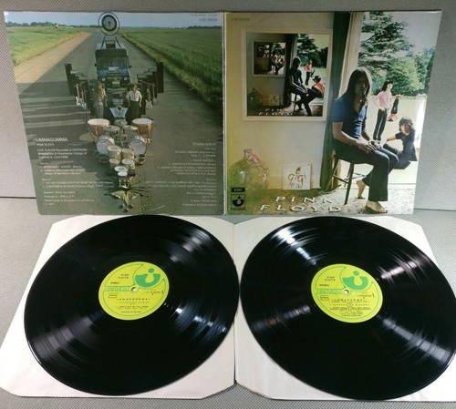 Dolp pink floyd - dolp,