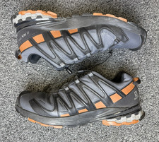 Salomon XA Pro 3D V8 Gore-tex