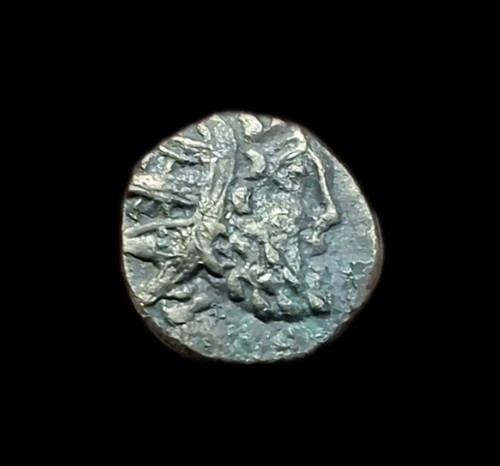 Minimi tetricus frappe - minimi, tetricus,