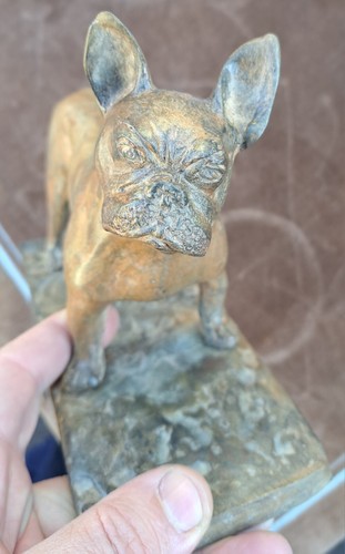 Promo bouledogue - !!!!!!,