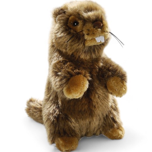 Carl dick marmotte peluche - carl,