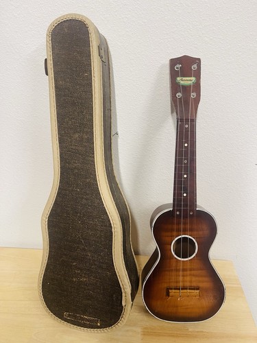 Nifty 1950s vintage harmony - nifty,