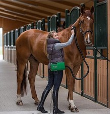 Aspirateur Pour Nettoyage Du Cheval Aspirateur Nettoyant Super Dandy Boy