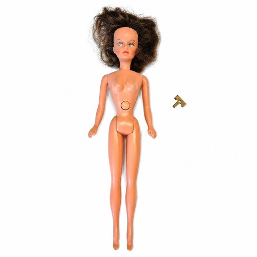 Poupée tressy bella brune - poupée,