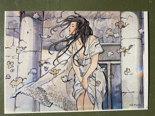 Carte postale libris le - ex,