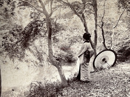 Japon soleil automne la - un,