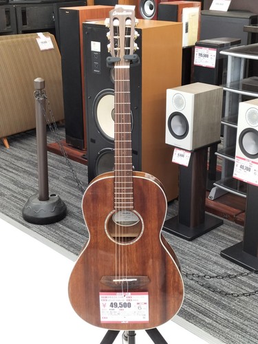 Guitare acoustique breedlove - guitare,