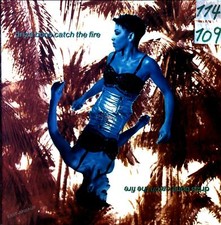 Driza Bone - Catch The Fire