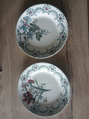 Assiettes anciennes terre de - 2,