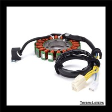 Stator Allumage pour Suzuki