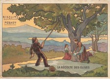 CHROMO #CL31041 BISCUITS PERNOT RECOLTE DES OLIVES