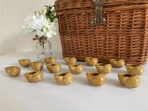 Lot de 15 coquillages - 6⚜️,