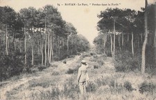 17 ROYAN PARC PERDUS DANS FORET - 33502