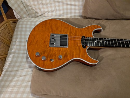 Rich exclusive guitar - rich,