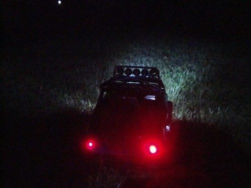 Axial scx10 wraith - axial, /