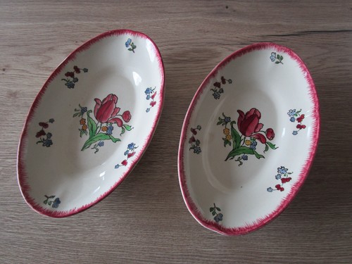 Raviers beurriers de gien - 2,