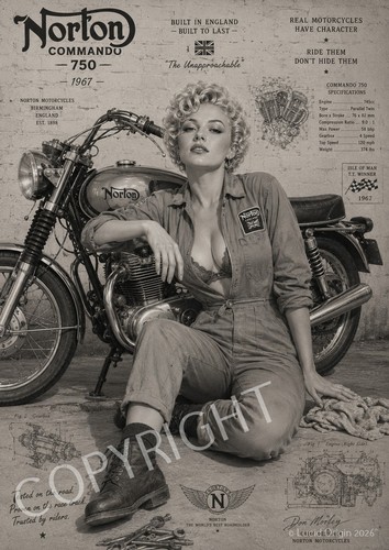 Photo pin moto norton - pin-up,