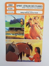 CARTE FICHE CINEMA 2002 SPIRIT