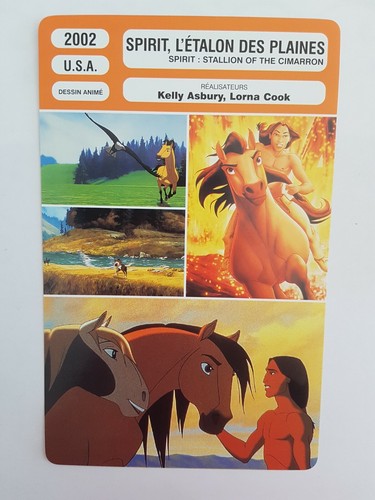 Carte fiche cinema 2002 spirit - fiche,