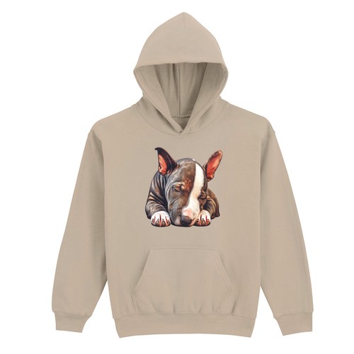 Pull capuche pour - pull,