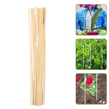  20 Pcs Canne En Bambou Pour