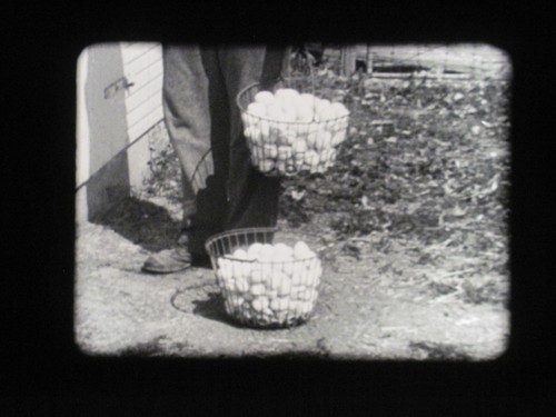 Film sonore 1950 plan - mm,