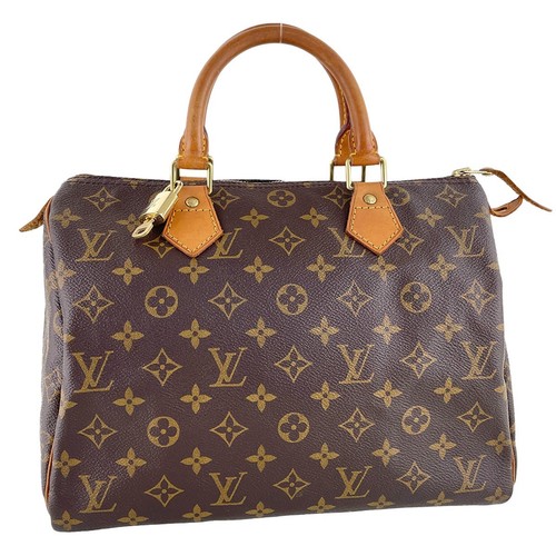 Sac main louis vuitton - main,