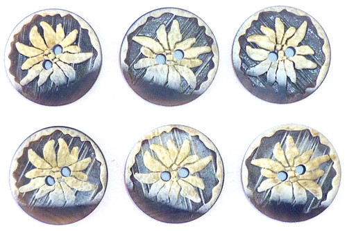 Anciens boutons corne - boutons,