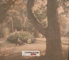Parc, personnage, Écully