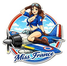 STICKER PINUP FRANCE MILITAIRE