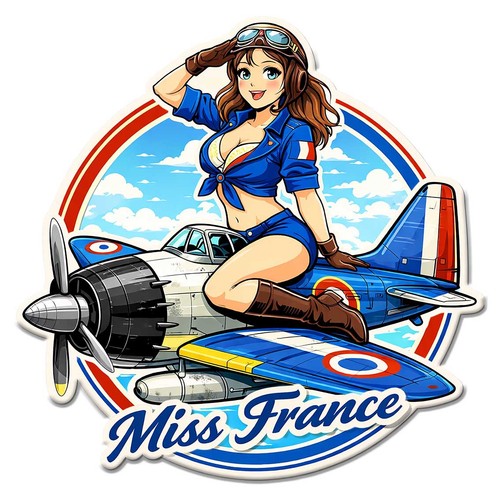 Sticker pinup france - sticker,