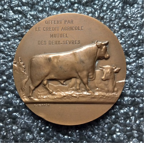 Médaille bronze crédit - médaille,