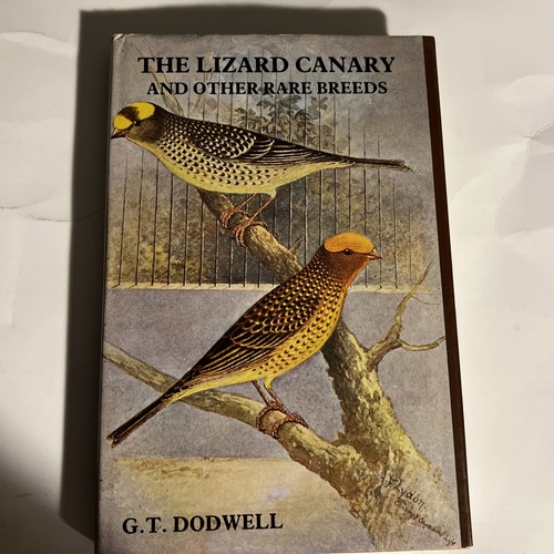 The lizard canary - lizard, and