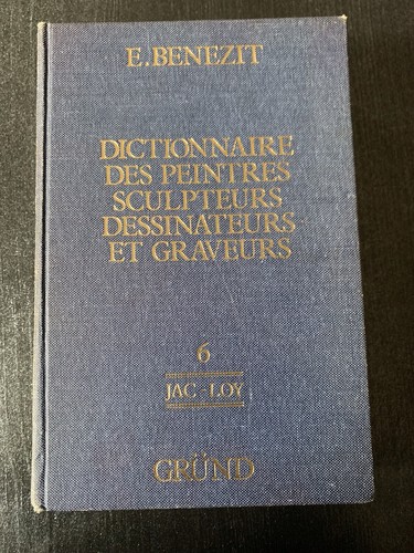 Livre dictionnaire des - dictionnaire,