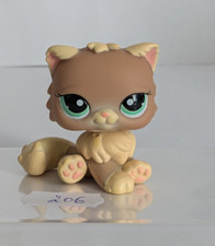 Petshop chat persan 1063 ref