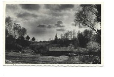 88  XERTIGNY  SCIERIE D AVAIN