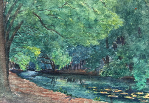 Paysage forêt arbres rivière