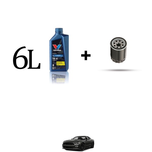 Kit filtre huile et 6l - de,