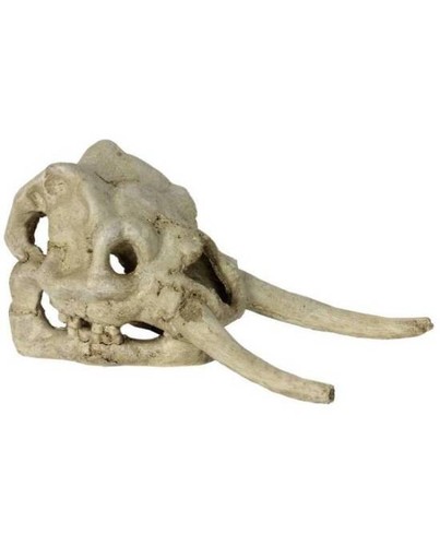Decor crane dinosaure - decor,