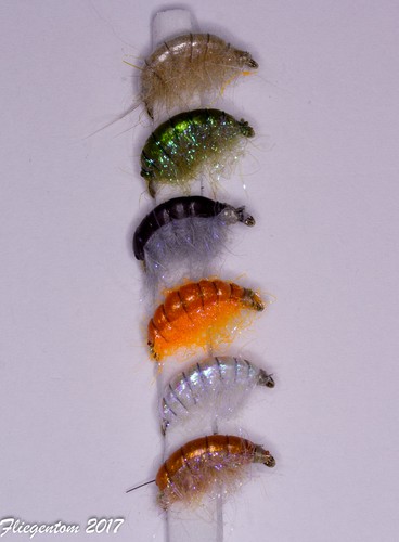 Assortiment amphipodes - assortiment, amphipodes/