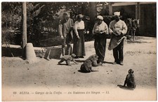 CPA ALGERIE - BLIDA - 60