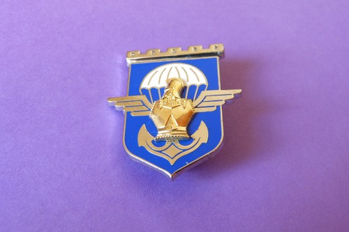 Insigne 17ème rgp - "17ème, rgp"