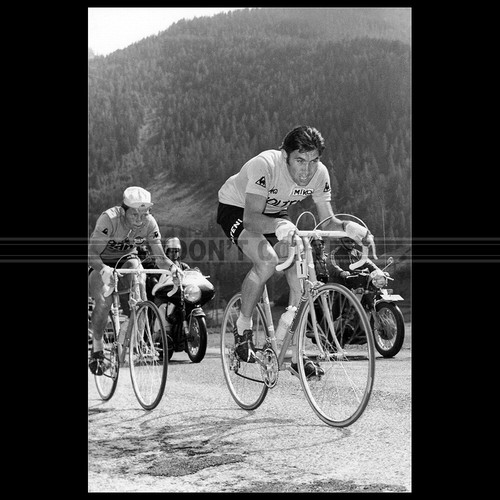 Photo 008721 eddy merckx - f.008721,