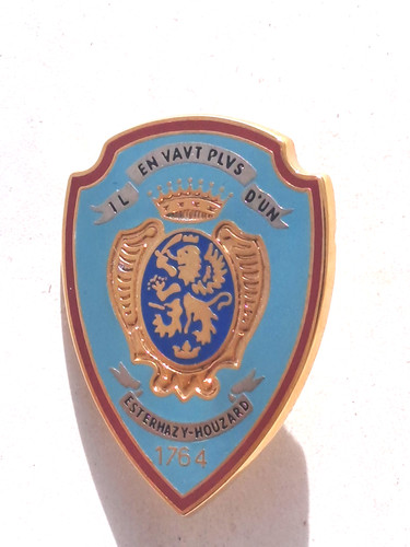 017784 insigne hussard ab - insigne,