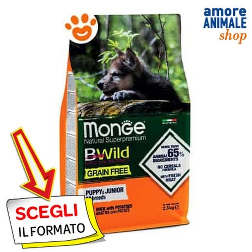 Monge chien sauvage - monge,